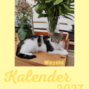 Wandkalender 2027