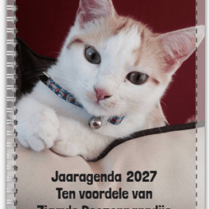 Agenda 2027