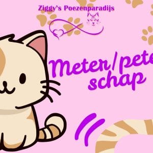 Cadeaubon meter/peterschap