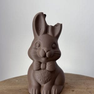 Nep chocolade paashaas