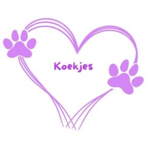 Koekjes