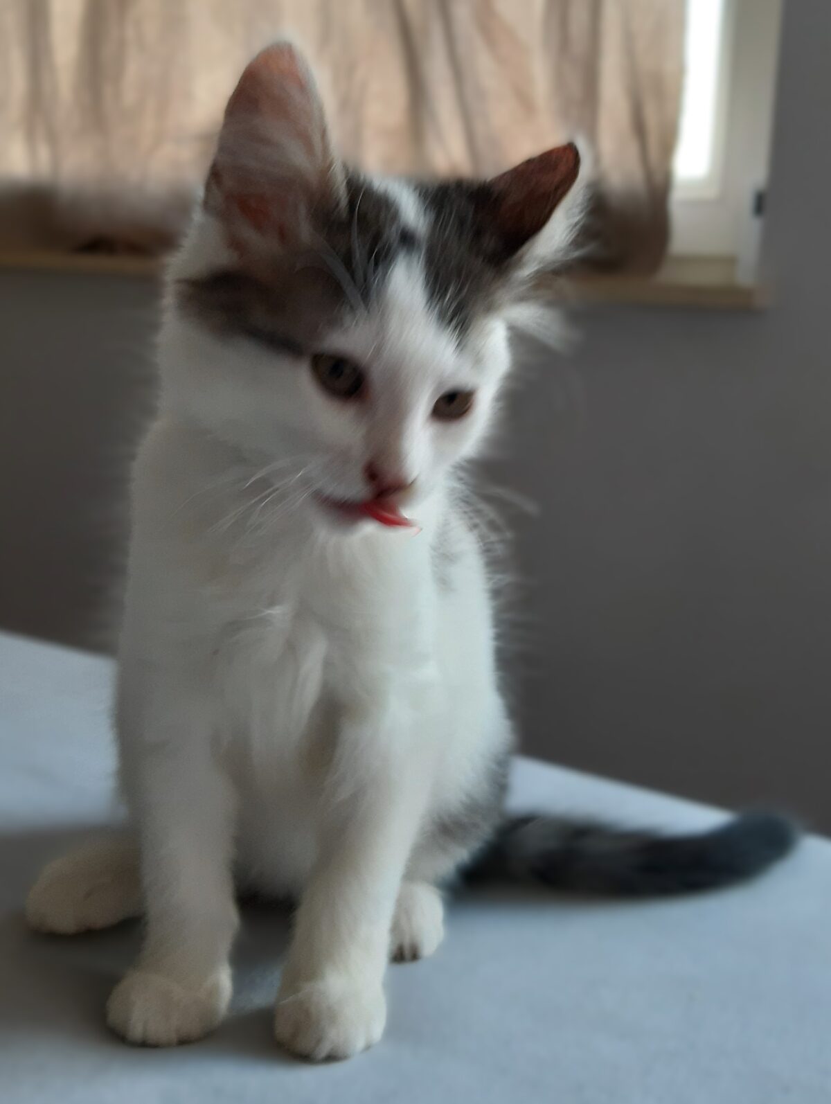 Picture of Lennon