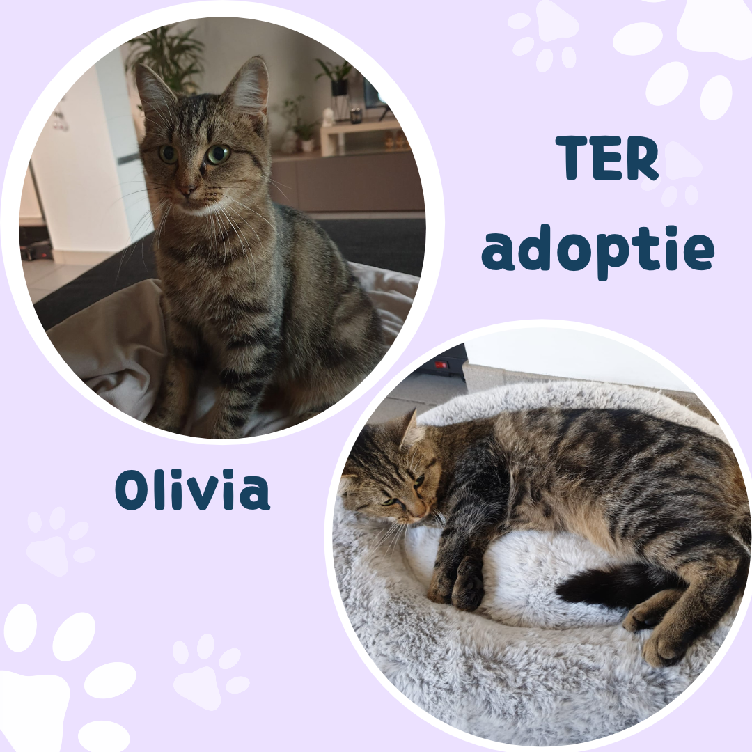 Foto Olivia